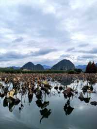 雲南行記:非遺路上邂逅普者黑的山河浪漫 奔赴雲南非遺之約的途中,竟與普者黑撞了個滿懷!這裡的山水