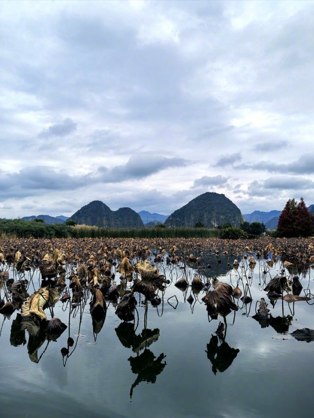 雲南行記:非遺路上邂逅普者黑的山河浪漫 奔赴雲南非遺之約的途中,竟與普者黑撞了個滿懷!這裡的山水 雲南行記:非遺路上邂逅普者黑的山河浪漫 奔赴雲南非遺之約的途中,竟與普者黑撞了個滿懷!這裡的山水