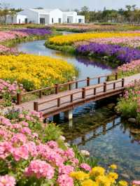 不是所有人都知道！花開海上4個免費福利不踩雷