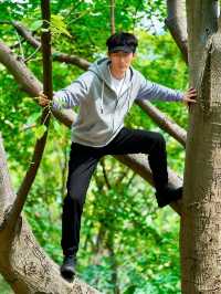 雲海之巔，心之所向：玉皇頂療癒之旅