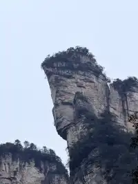 [11.05]跌宕起伏的張家界森林公園·攻略參考