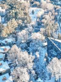 長白山封神酒店！推窗見雪的森林秘境