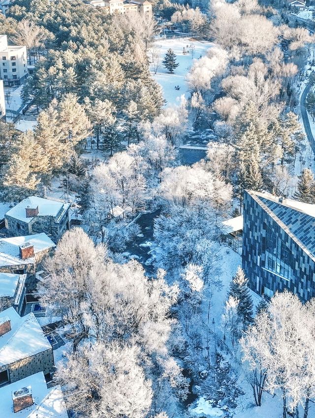 長白山封神酒店！推窗見雪的森林秘境