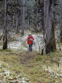 打工人重慶週末不請假極限往返瑞士