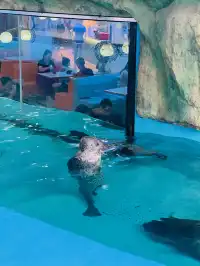 目測會成為泉州下一個No.1