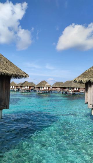 Top Global Islands in December! Warm Winter Getaway: Stunning Hidden Gems