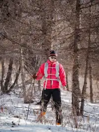 樺皮嶺｜雪中徒步封神路線，小白也能來