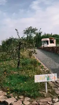 家門口的詩與遠方 | 在禹州谷堆白沙