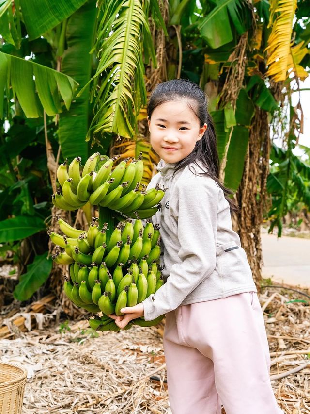 人生建議!11月-3月一定要帶娃去桂西南 人生建議!11月-3月一定要帶娃去桂西南