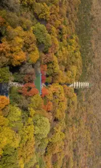 暮秋風起染金陵 我拍到一整個南京的秋天