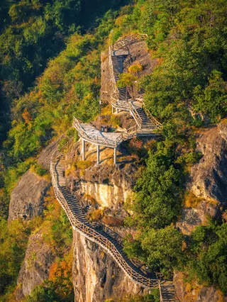 Hangzhou 1.5h! This century-old ginkgo at Xuankong Temple is turning golden! Hurry up～