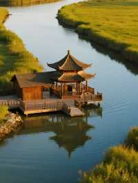 杭州灣濕地公園親子遊!詩經觀鳥+遛娃寶藏地