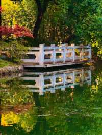 秋色滿園絕美倒映