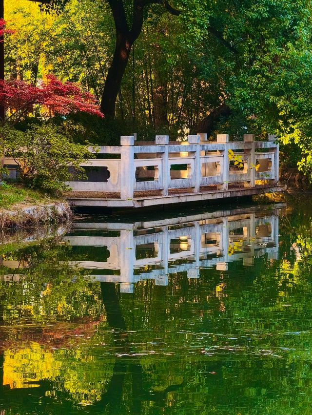 秋色滿園絕美倒映