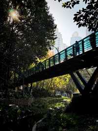 都市中的秋日詩篇