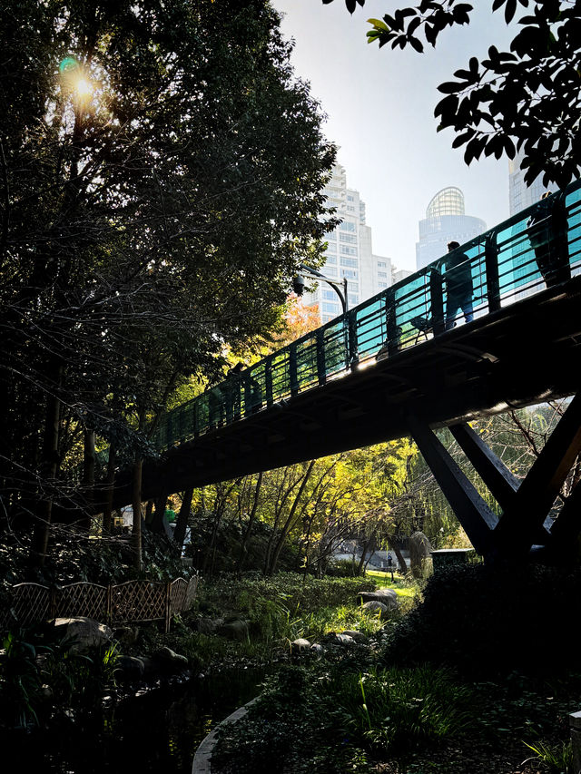 都市中的秋日詩篇 都市中的秋日詩篇