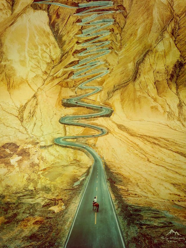 溫暖又絕望的路牌