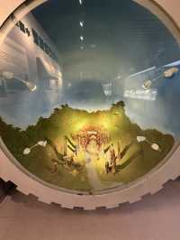 武漢 / 中國地質大學逸夫博物館