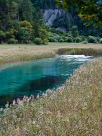 九寨溝歸來不看水,這裡的秋天美到詞窮!