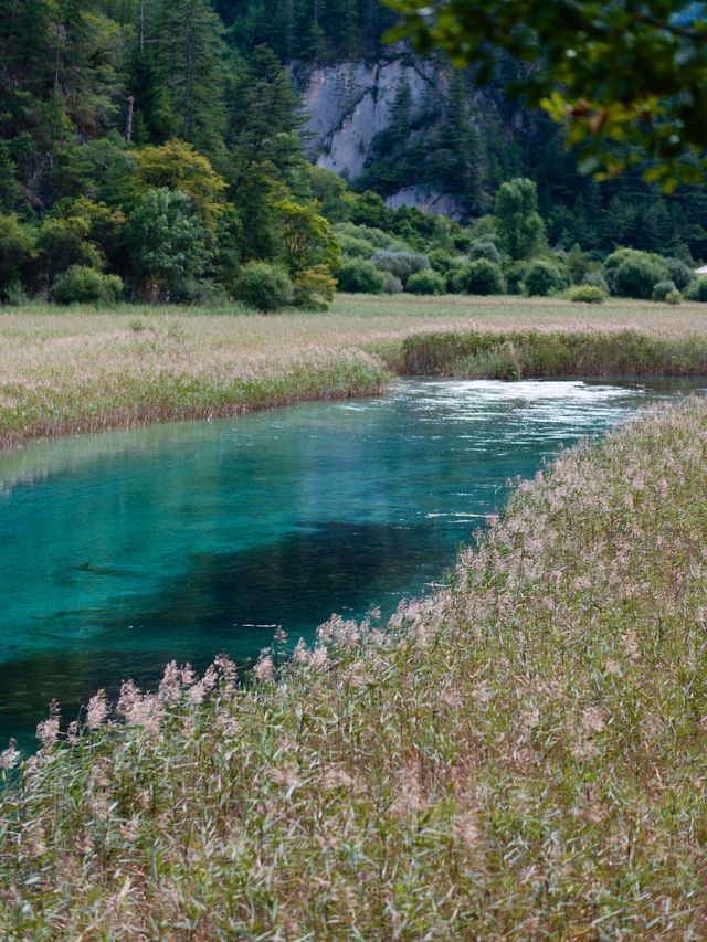 九寨溝歸來不看水,這裡的秋天美到詞窮! 九寨溝歸來不看水,這裡的秋天美到詞窮!