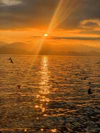 12.3！大理洱海的含金量還在上升！