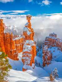 美國聖誕旅行清單！四個必去冬日特色好去處