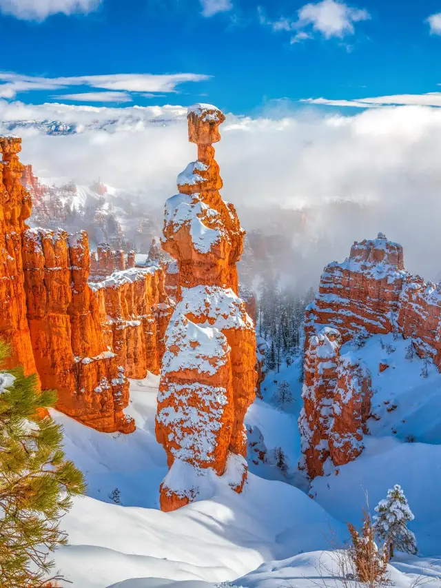 Christmas Travel Checklist in the USA! Four Must-Visit Winter Destinations