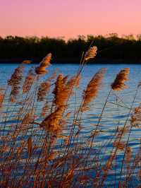 1204頤和園日出，西山橘紅像七彩丹霞