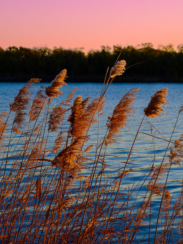 1204頤和園日出，西山橘紅像七彩丹霞