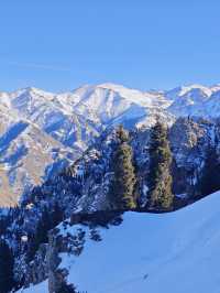 天山天池:在王母瑤臺間淬鍊億年寒玉的雲端鏡宮