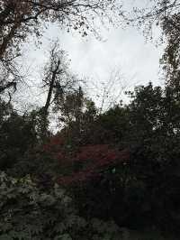 長沙 / 岳麓山景區