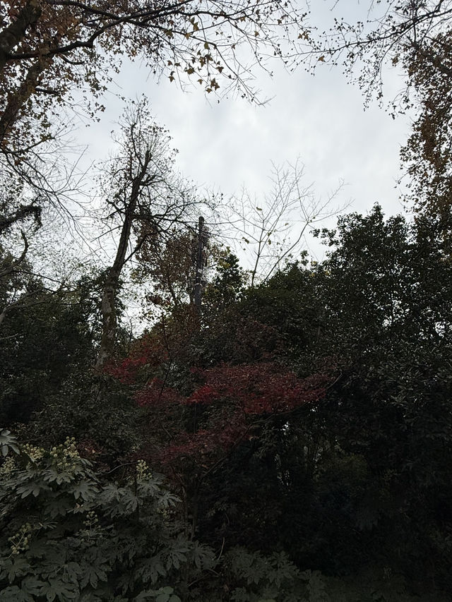 長沙 / 岳麓山景區 長沙 / 岳麓山景區