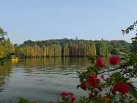 肇慶七星岩|闖入現實版山水畫!隨手拍都是大片! 七星岩,肇慶必去!喀斯特地貌+湖泊,一秒穿越