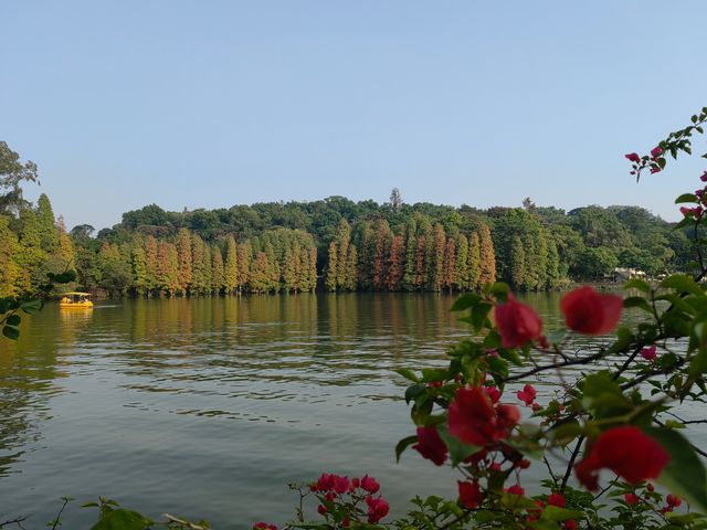肇慶七星岩|闖入現實版山水畫!隨手拍都是大片! 七星岩,肇慶必去!喀斯特地貌+湖泊,一秒穿越 肇慶七星岩|闖入現實版山水畫!隨手拍都是大片! 七星岩,肇慶必去!喀斯特地貌+湖泊,一秒穿越