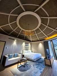 宜興神仙酒店！懸崖房+寵物友好！住到不想走