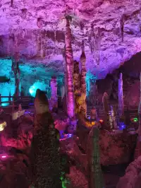 不上班，去昆明追風