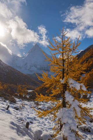 Seriously obsessed! The autumn and winter vibes in Daocheng Yading are absolutely amazing