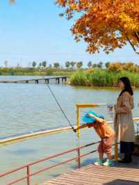 快樂週末新玩法