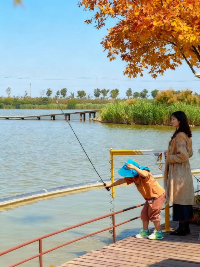 快樂週末新玩法 快樂週末新玩法