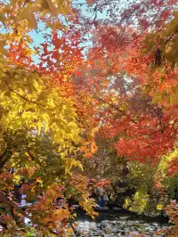 天平山‖我宣布我找的機位拍得最好看~