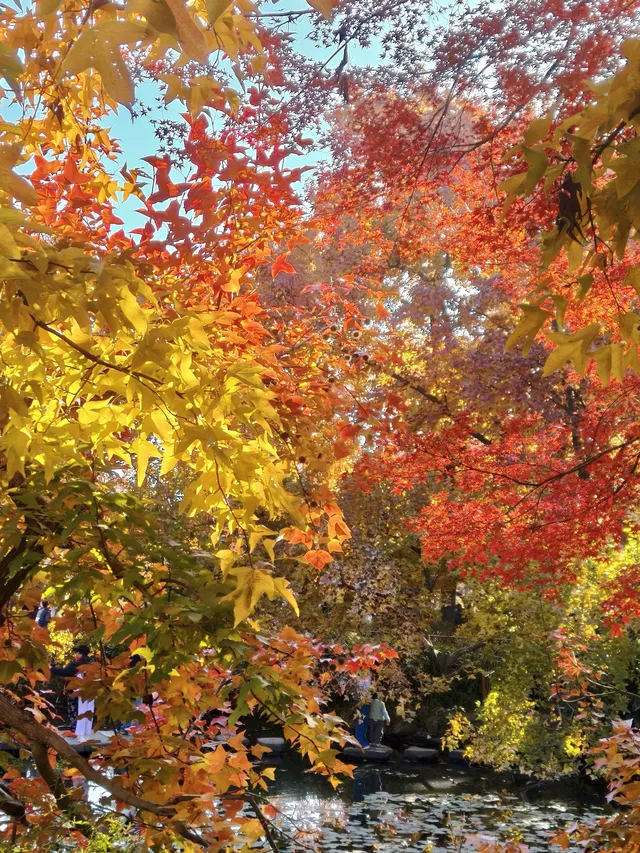 天平山‖我宣布我找的機位拍得最好看~ 天平山‖我宣布我找的機位拍得最好看~