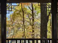 今日實況,指南村的楓葉紅了