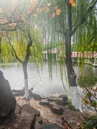 又一個公園透綠