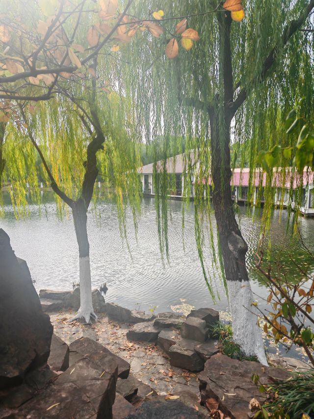 又一個公園透綠