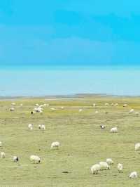 青甘大環線自駕全攻略|後勁拉滿的西北封神之旅