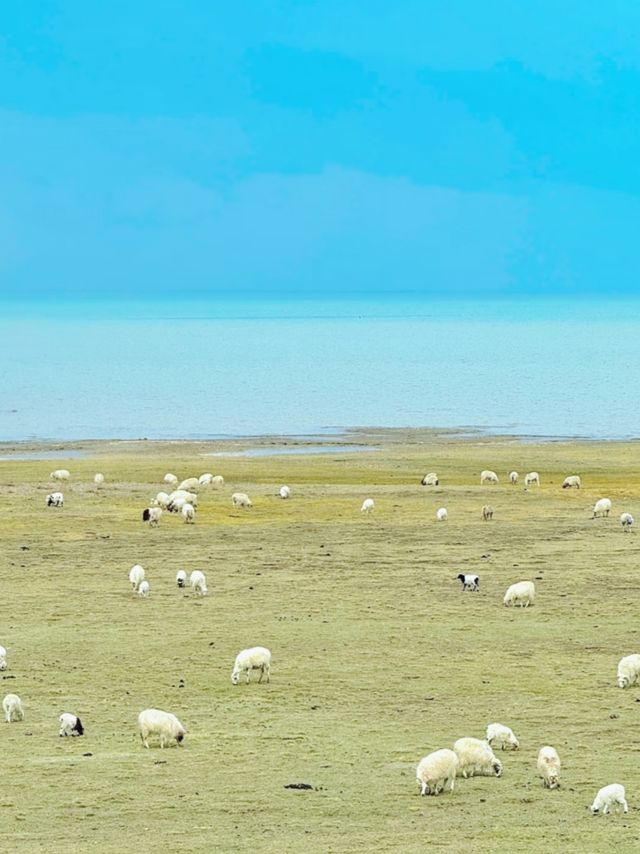 青甘大環線自駕全攻略|後勁拉滿的西北封神之旅 青甘大環線自駕全攻略|後勁拉滿的西北封神之旅