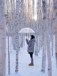 我應該這輩子都無法忘記漠河的冬天了