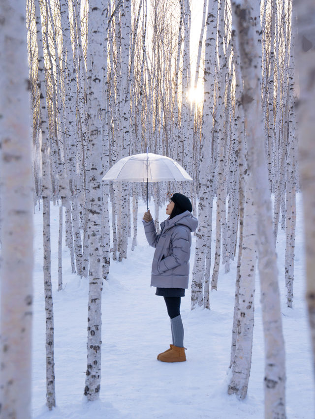 我應該這輩子都無法忘記漠河的冬天了