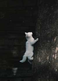 【住美豪，尋冬趣｜遇見香火與暖陽交織的古都冬天】