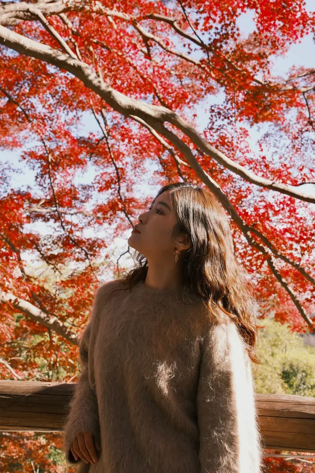 總要去莫干山看一次楓葉吧! 總要去莫干山看一次楓葉吧!